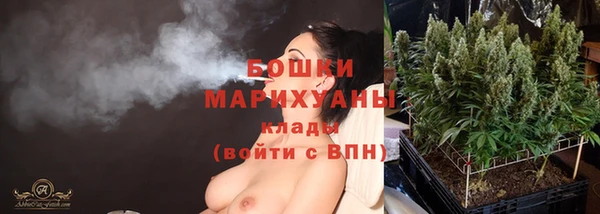 винт Верея