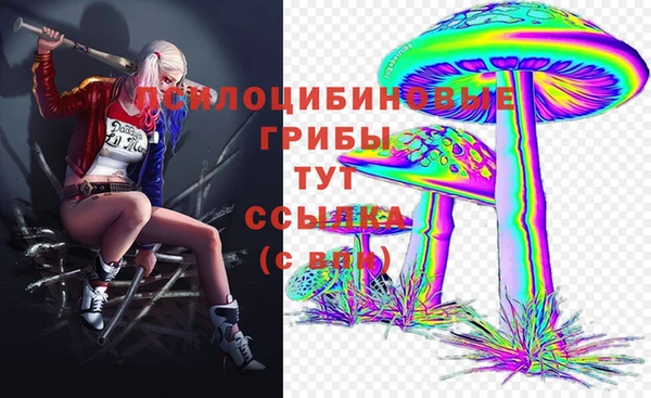 винт Верея